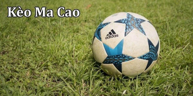 Tỷ lệ kèo Macao - Lựa Chọn Kèo Chuẩn